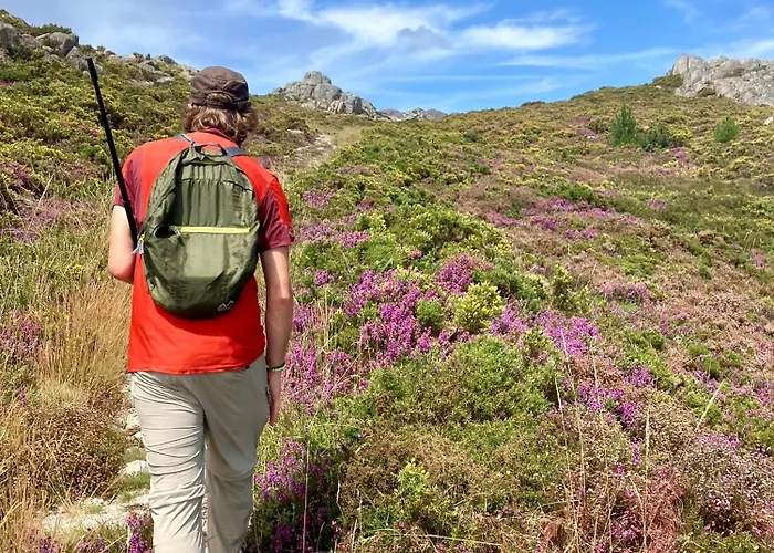 Daur The Middle Door - Exclusive For Pilgrims Хостел Panches