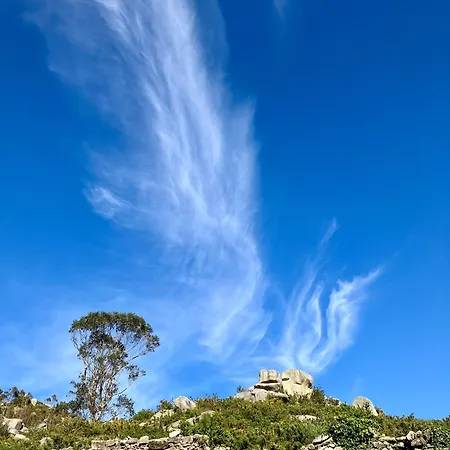 Daur The Middle Door - Exclusive For Pilgrims Panches