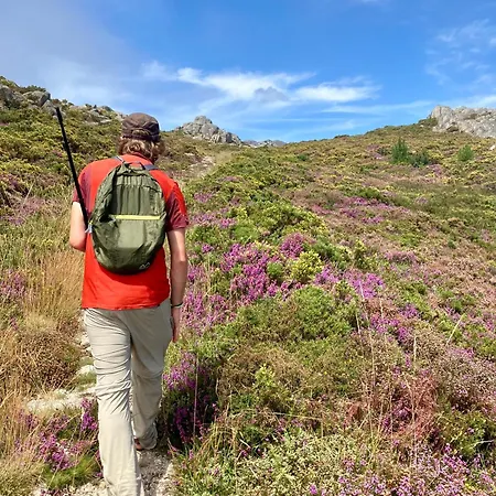 Daur The Middle Door - Exclusive For Pilgrims Hostal Panches